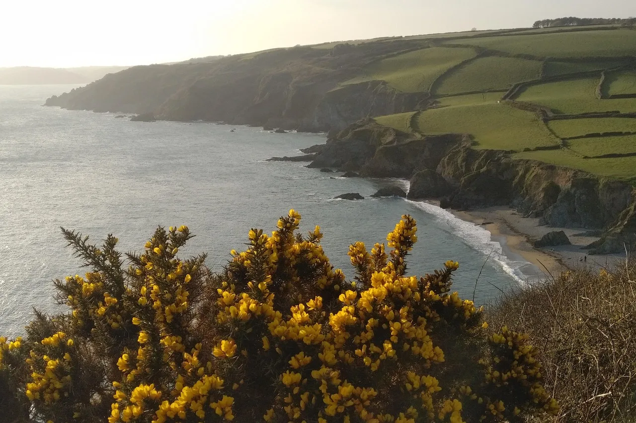south coast, cornwall, beach, cornish, west, uk, water, coastline, england, coastal, bay, landscape, nature, ocean, cornwall, cornwall, cornwall, cornwall, cornwall, england