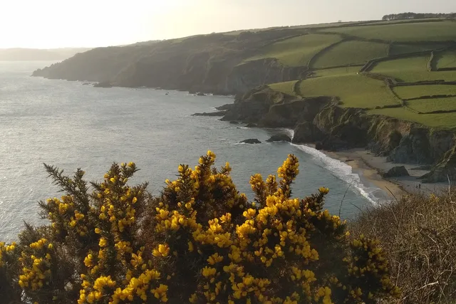 south coast, cornwall, beach, cornish, west, uk, water, coastline, england, coastal, bay, landscape, nature, ocean, cornwall, cornwall, cornwall, cornwall, cornwall, england. Seasonal local SEO for Cornwall, Blackpool and the Highlands, a planning checklist